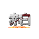 赤白 (red white)