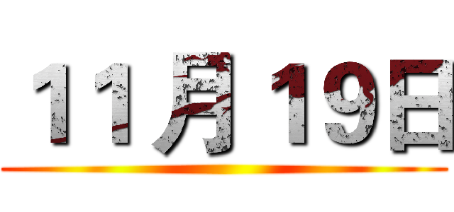 １１ 月１９日 ()