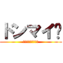 ドンマイ😉 (お疲れお疲れお疲れ)