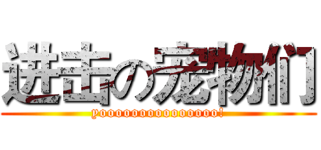 进击の宠物们 (yooooooooooooooo!)