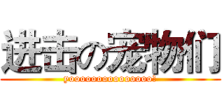 进击の宠物们 (yooooooooooooooo!)
