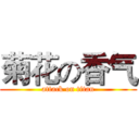 菊花の香气 (attack on titan)