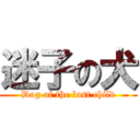 迷子の犬 (Dog of the lost child)