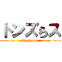 トンズらス (Bankrupt)