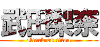 武田梨奈 (attack on titan)