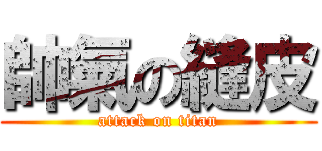 帥氣の縫皮 (attack on titan)