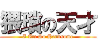 猥瑣の天才 (I Am So Handsome)