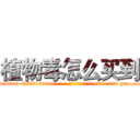 植物毒怎么买到 (植物毒怎么买到【电-186x2687x6963-Q278180069元-吉-药-业】我们做的是长期生意,靠的是老客户长期支持 http://sngk.net/oC72e9
)