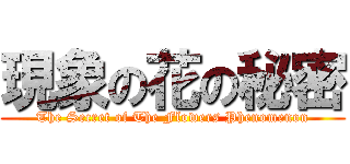 現象の花の秘密 (The Secret of The Flowers Phenomenon)