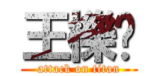 王櫟鑫 (attack on titan)