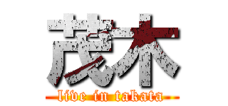 茂木 (live in takata)