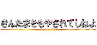 きんたまをもやされてしねよ (attack on titan)