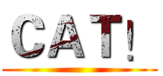 ＣＡＴ！ ()