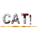 ＣＡＴ！ ()