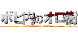 ボビ内のオロ樹 (bobiuti on oroki)