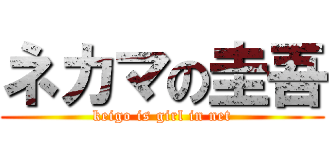 ネカマの圭吾 (keigo is girl in net)