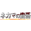 ネカマの圭吾 (keigo is girl in net)