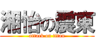 湘怡の震東 (attack on titan)