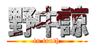 野中諒 (in truth)