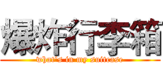 爆炸行李箱 (what's in my suitcase)