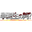 學測生の阿貓 (attack on titan)