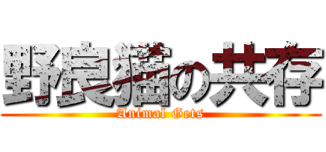 野良猫の共存 (Animal Gets)