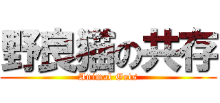 野良猫の共存 (Animal Gets)