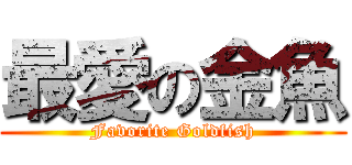 最愛の金魚 (Favorite Goldfish)