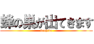 蜂の巣が出てきます (beehive)