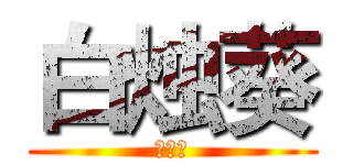 白烛葵 (白小哥)