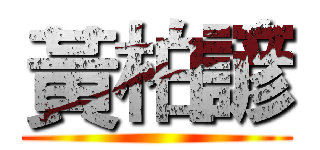 黃柏諺 ()