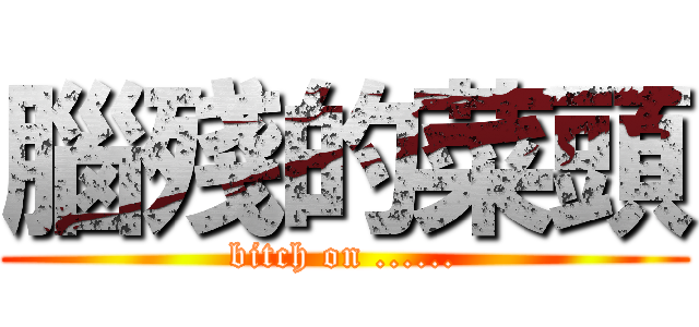 腦殘的菜頭 (bitch on ......)