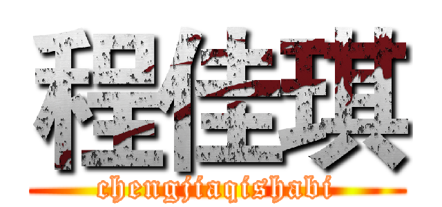 程佳琪 (chengjiaqishabi)