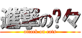進撃の喵々 (attack on cats)