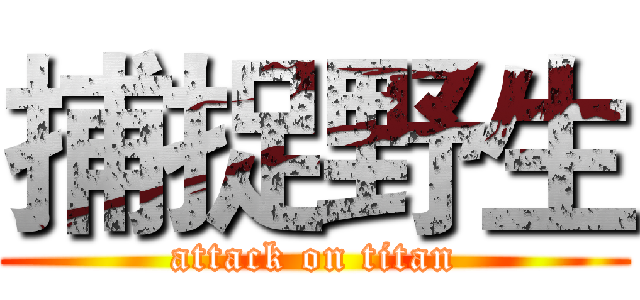 捕捉野生 (attack on titan)