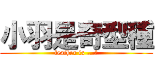 小羽是奇型種 (feather is ...?)