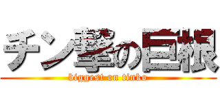 チン撃の巨根 (biggest on tinko)