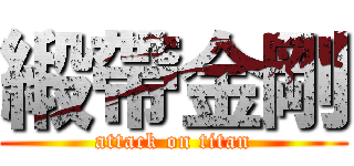 緞帶金剛 (attack on titan)
