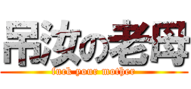 吊汝の老母 (fuck your mother)
