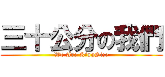 三十公分の我們 (We Are KingSize)