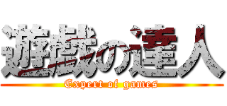 遊戯の達人 (Expert of games)