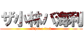 ザ小林バ海利 (What a fuck)