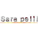 Ｓａｒａ ｐｅｌｌｌ (Sara pelll)