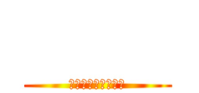           (　　　　　　　　　)