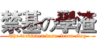 禁基の學渣 (The forbidden base  learn slag)