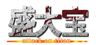 盛大宝 (attack on titan)