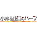 小林＆山口のハーフ (attack on titan)