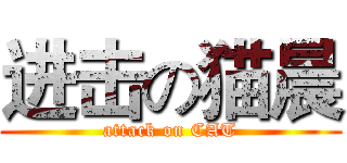 进击の猫晨 (attack on CAT)