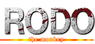 ＲＯＤＯ (the monkey)