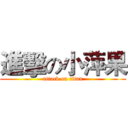 進擊の小萍果 (attack on titan)